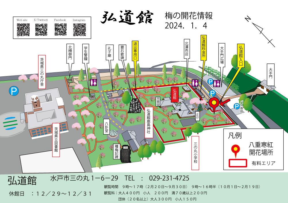 梅の開花情報