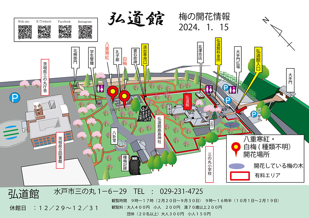 梅の開花情報